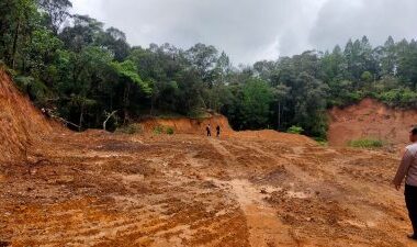 Dibabat Habis di Hulu, Puluhan Hektare Hutan Lindung di Gowa Gundul Akibat Ilegal Logging