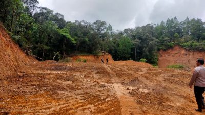Dibabat Habis di Hulu, Puluhan Hektare Hutan Lindung di Gowa Gundul Akibat Ilegal Logging