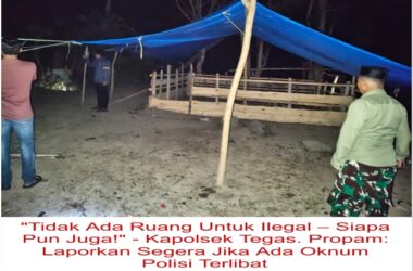TINDAK CEPAT TANPA RAGU: POLSEK UJUNG LOE BAKAR ARENA SABUNG AYAM PERJUDIAN DI SEPPANG HINGGA HABIS