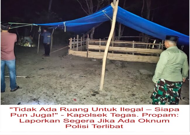 TINDAK CEPAT TANPA RAGU: POLSEK UJUNG LOE BAKAR ARENA SABUNG AYAM PERJUDIAN DI SEPPANG HINGGA HABIS