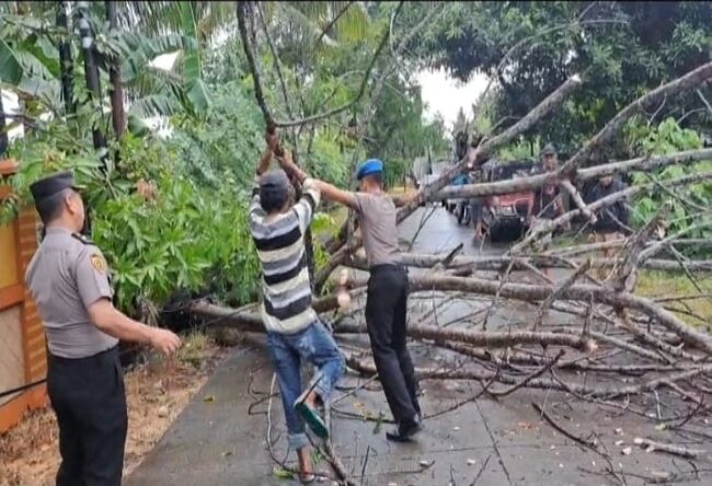 Sigap dan Cepat! Polres Soppeng Hapus Hambatan Pohon Tumbang, Lalu Lintas Kembali Lancar dalam Sebentar