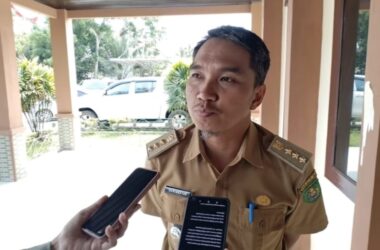 Harga Anjlok, Lada Batu Ampar Ditinggalkan Petani dan Digantikan Nanas sebagai Komoditas Utama